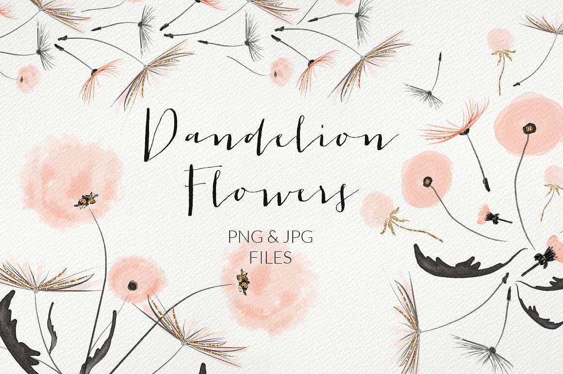 蒲公英花种子免扣PNG素材Dandelion