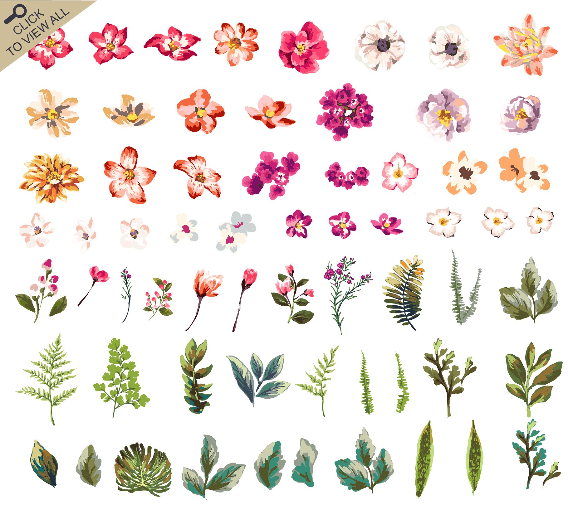 Hand-drawn flower collection V