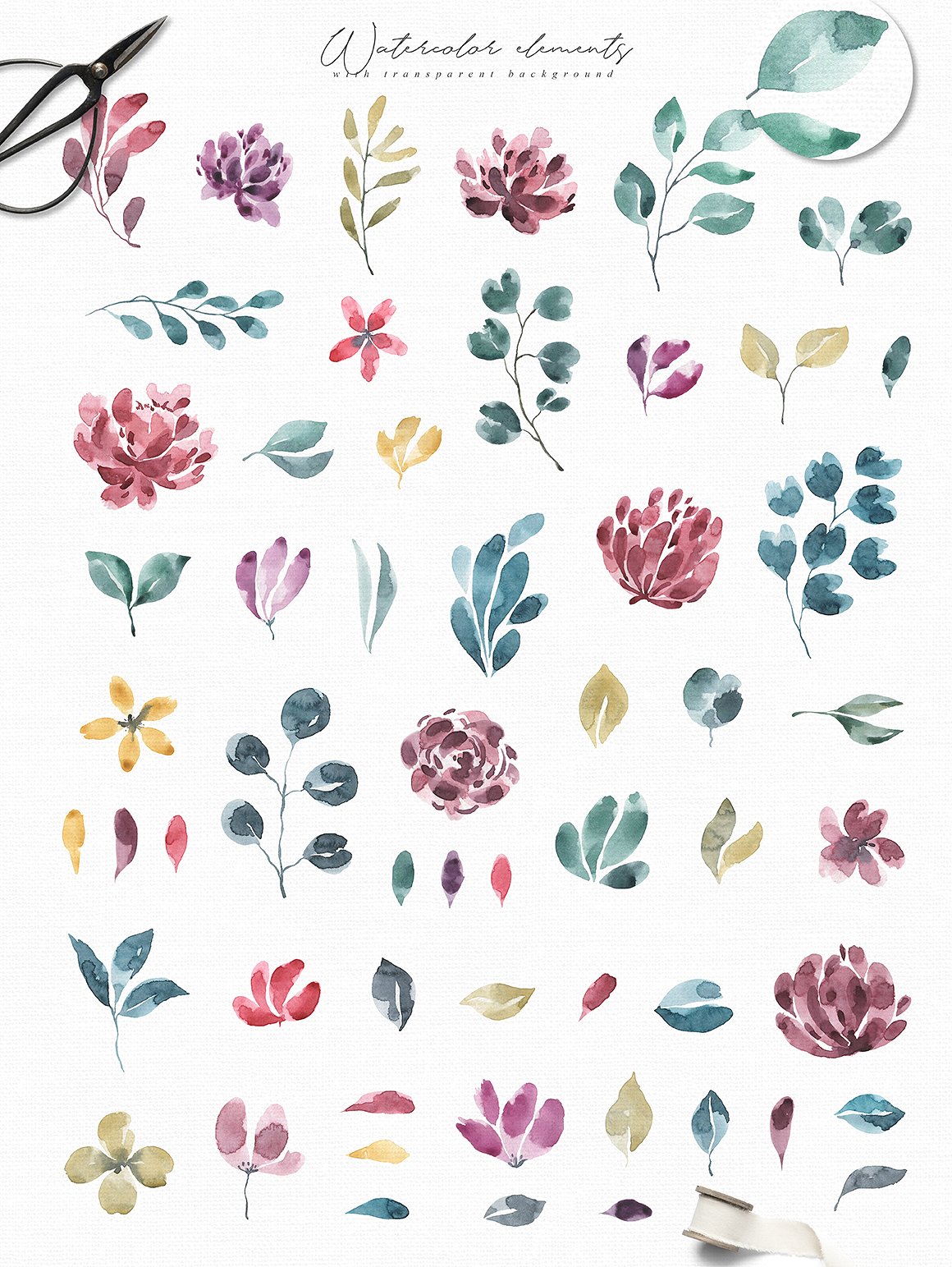 Blossoms Collection Pro