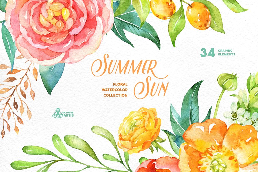 夏季手绘水彩花卉植物设计素材Summer Sun. Flor