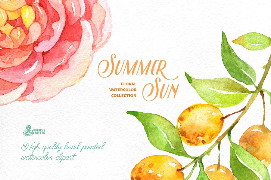 夏季手绘水彩花卉植物设计素材Summer Sun. Flor