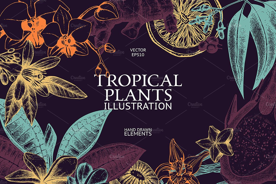 手绘彩色植物花卉设计素材Vector Tropical Pl
