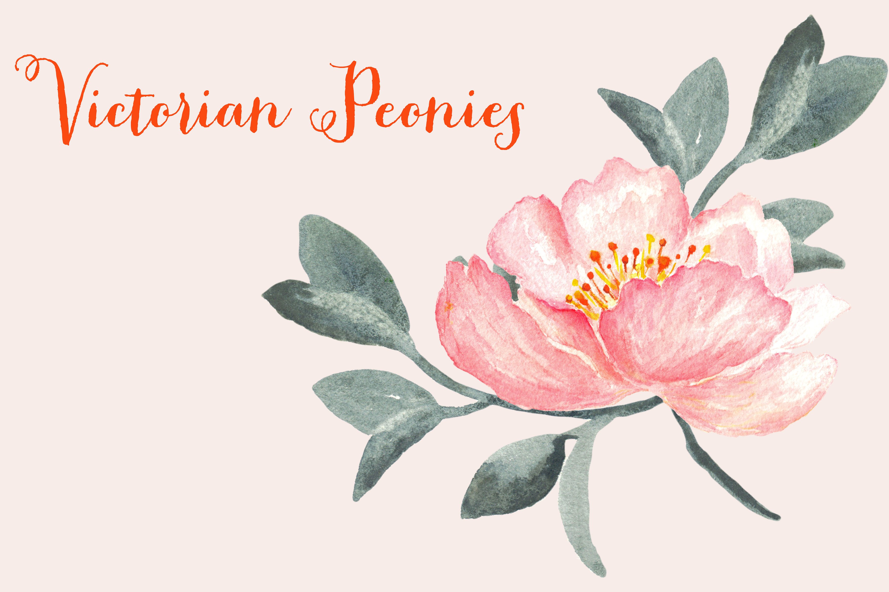 Peony Victorian Watercolor Cli