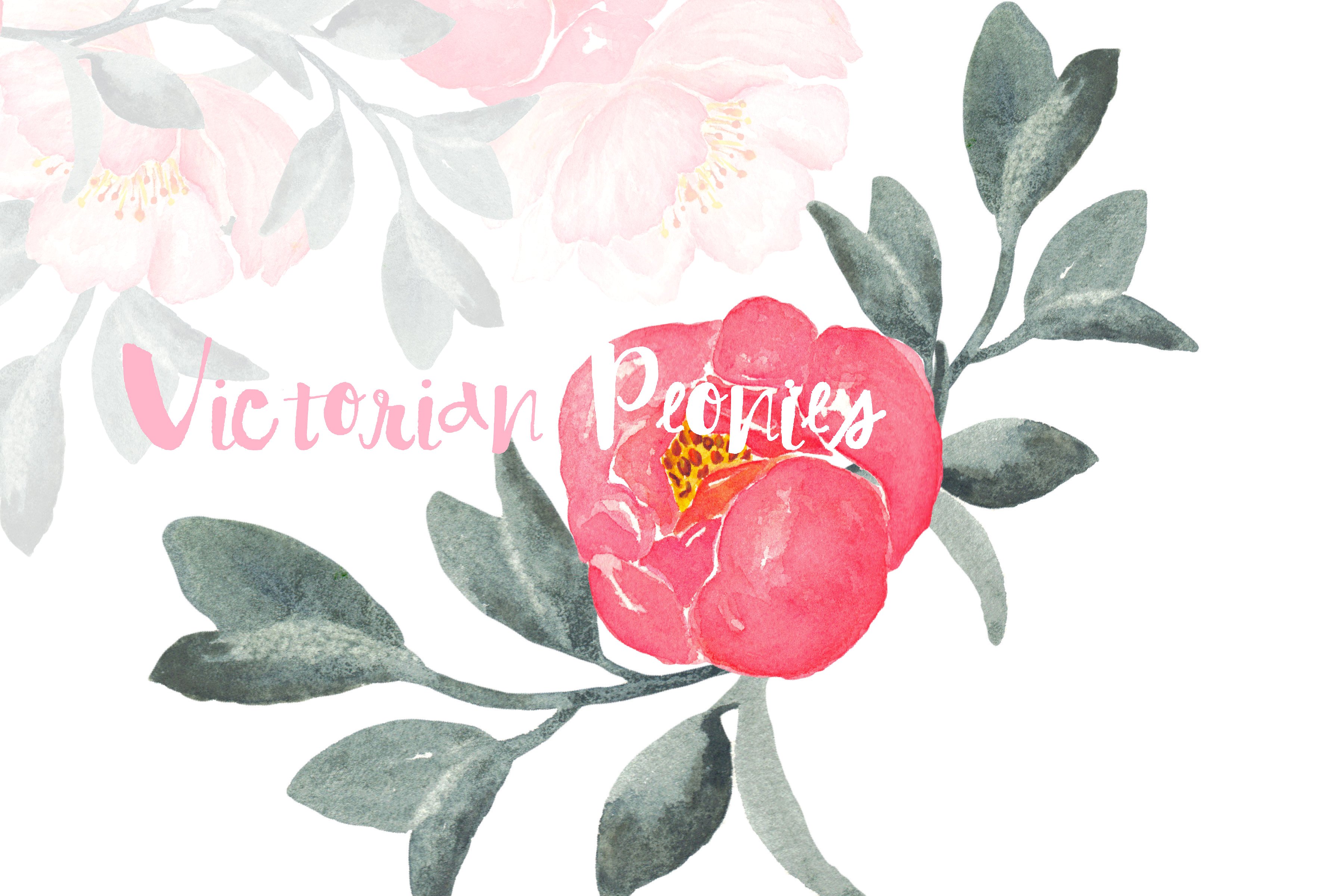 Peony Victorian Watercolor Cli