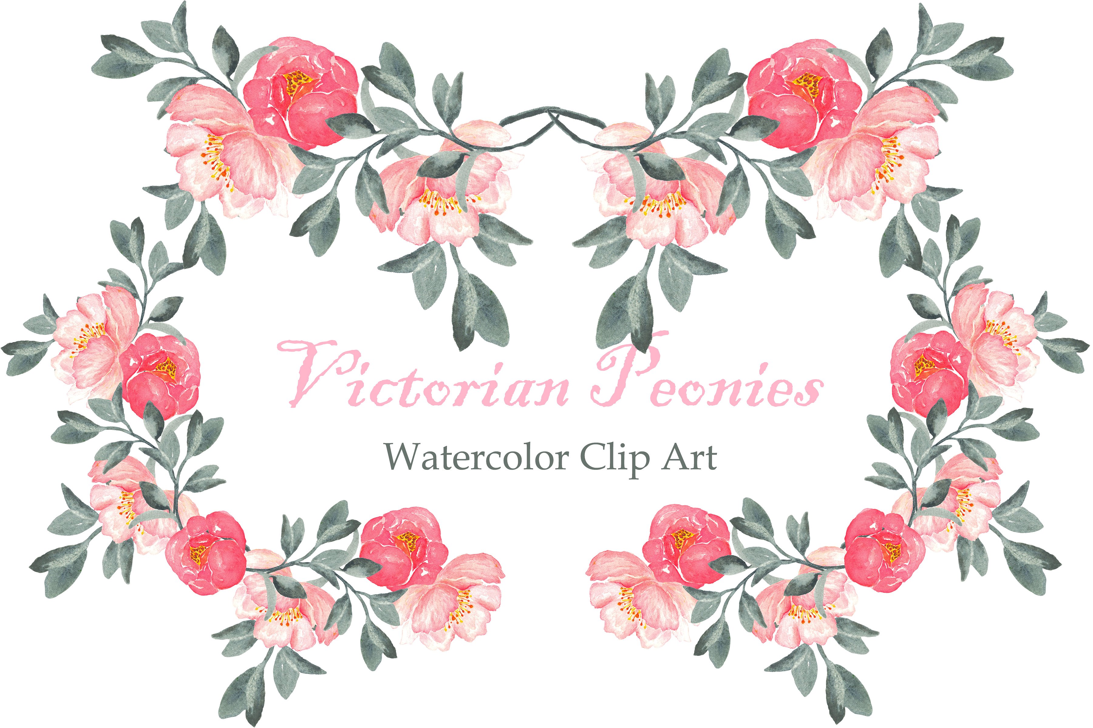 Peony Victorian Watercolor Cli