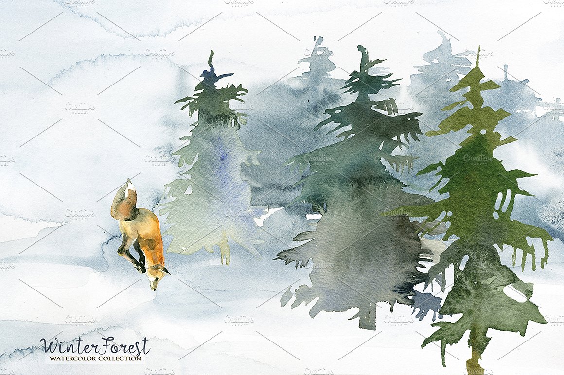 手绘水彩自然动物设计素材Forest Fir Trees W