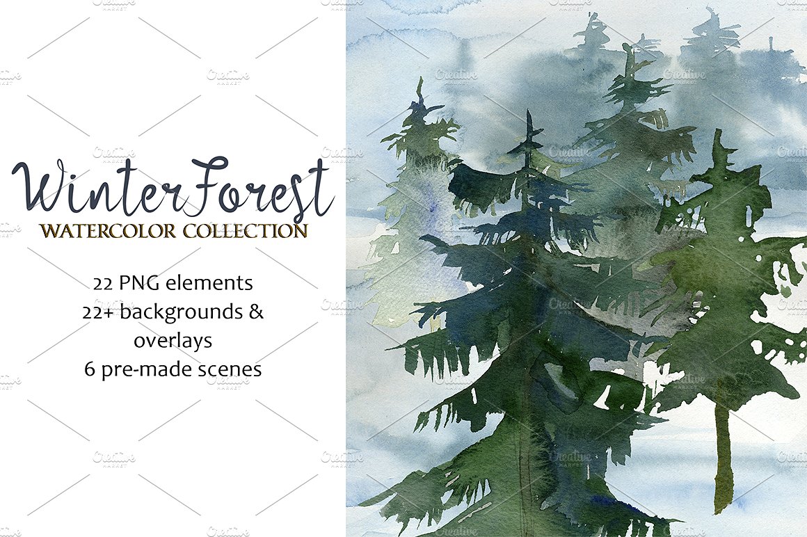 手绘水彩自然动物设计素材Forest Fir Trees W
