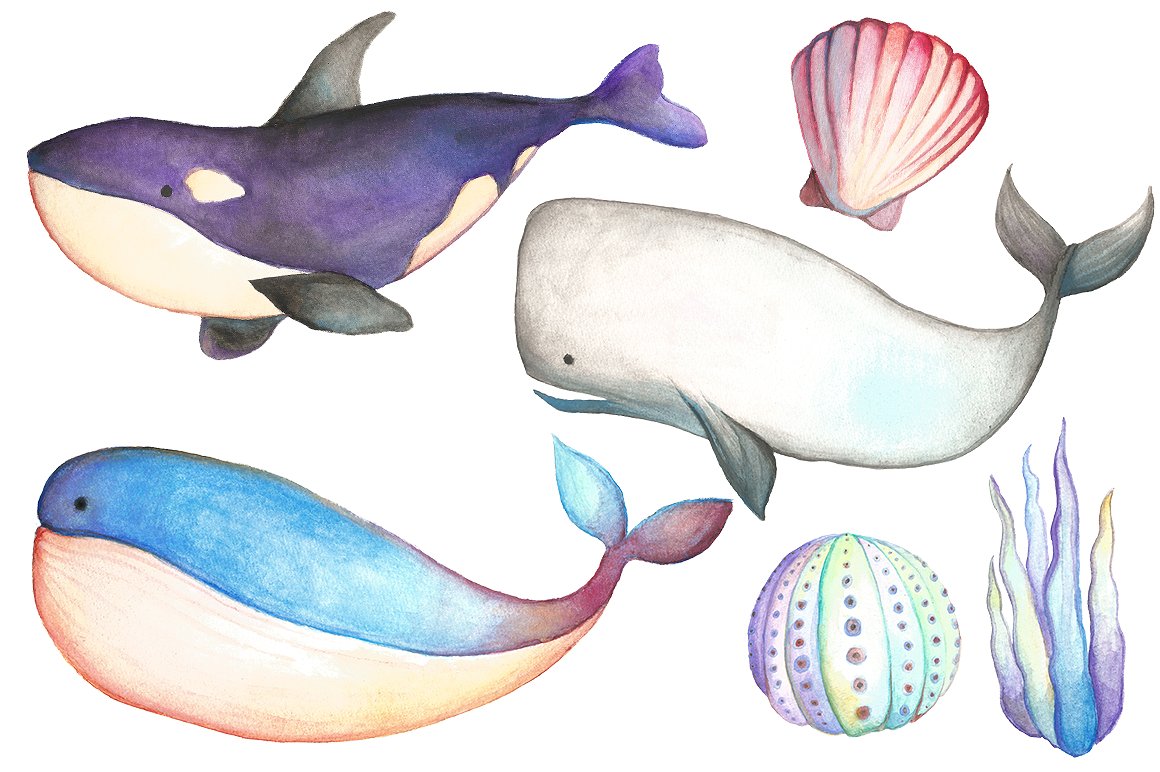 手绘水彩海洋生物设计素材Watercolor Sea Lif
