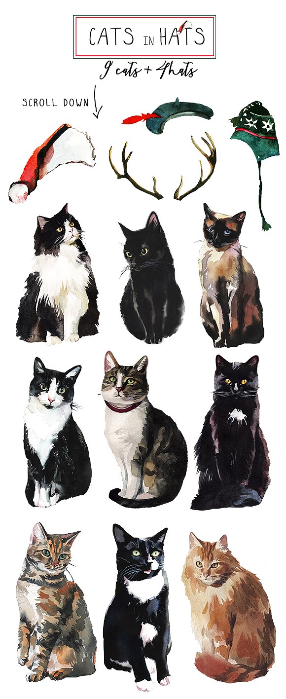 手绘水彩猫元素设计素材Watercolor Cat Illu