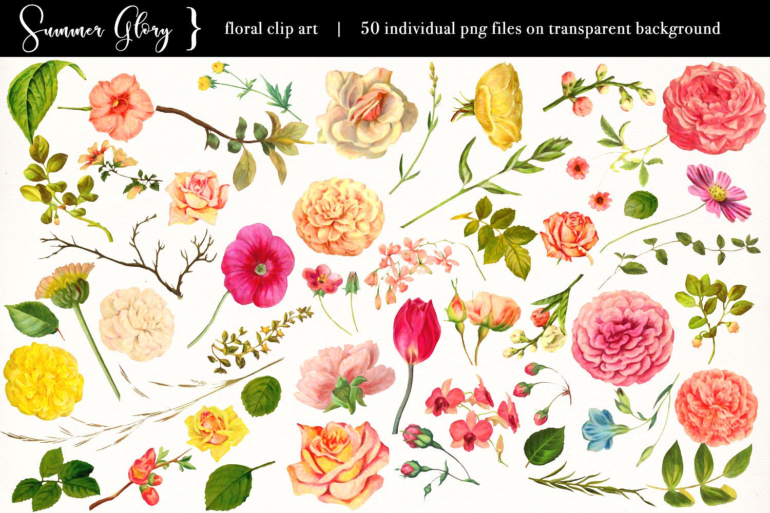 Floral Clip Art - Summer Glory