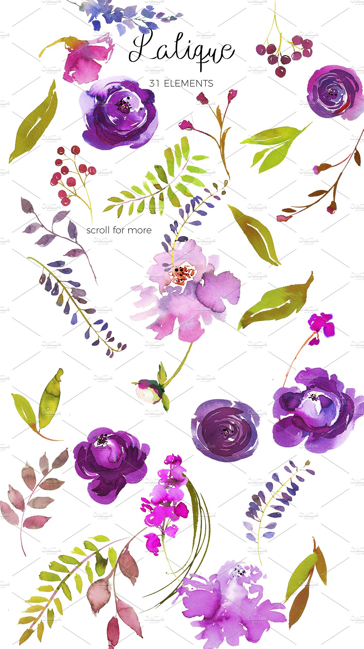 手绘水彩花卉植物设计素材Violet Purple Wate