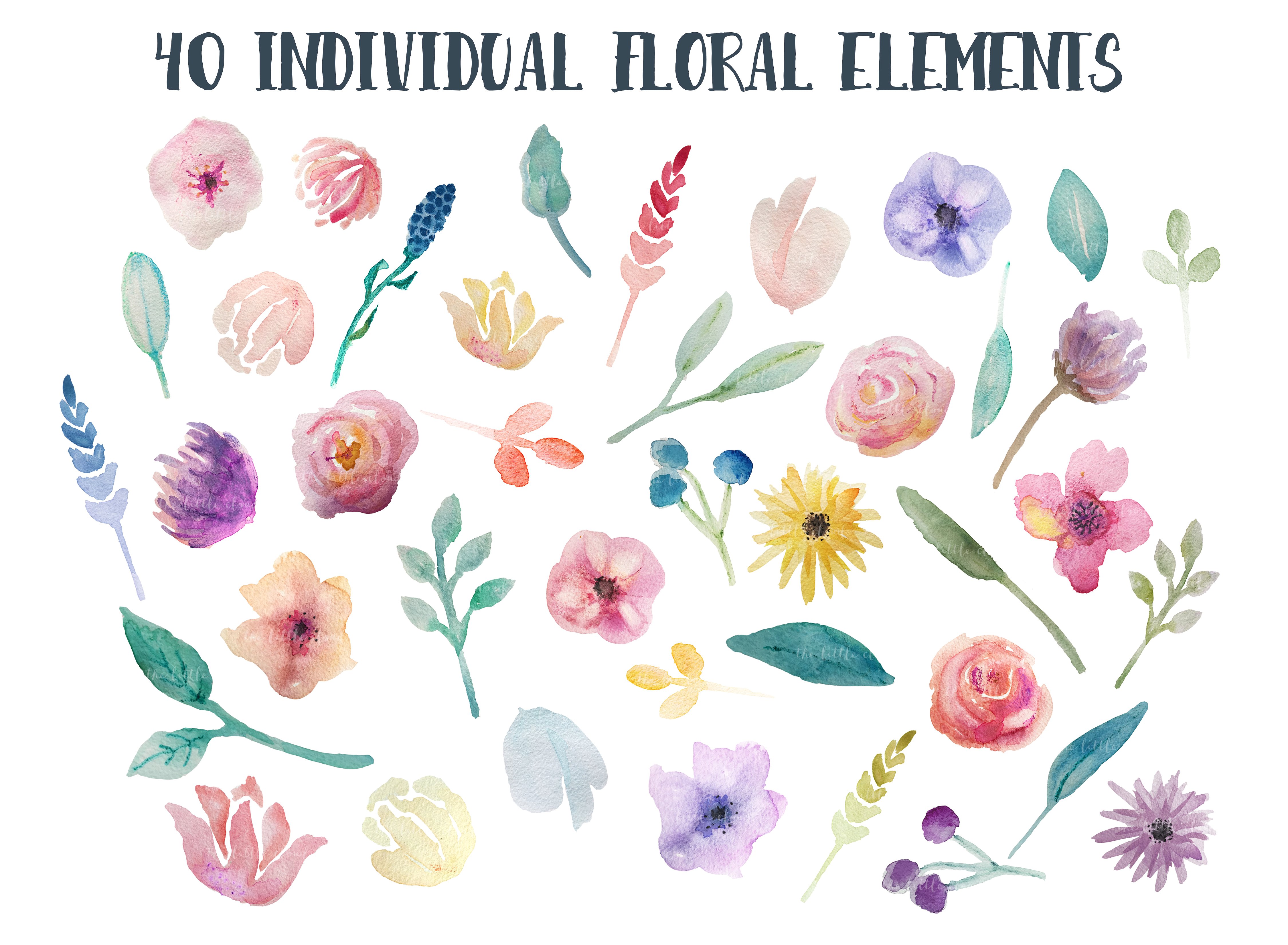 Go Floral! watercolor clip art