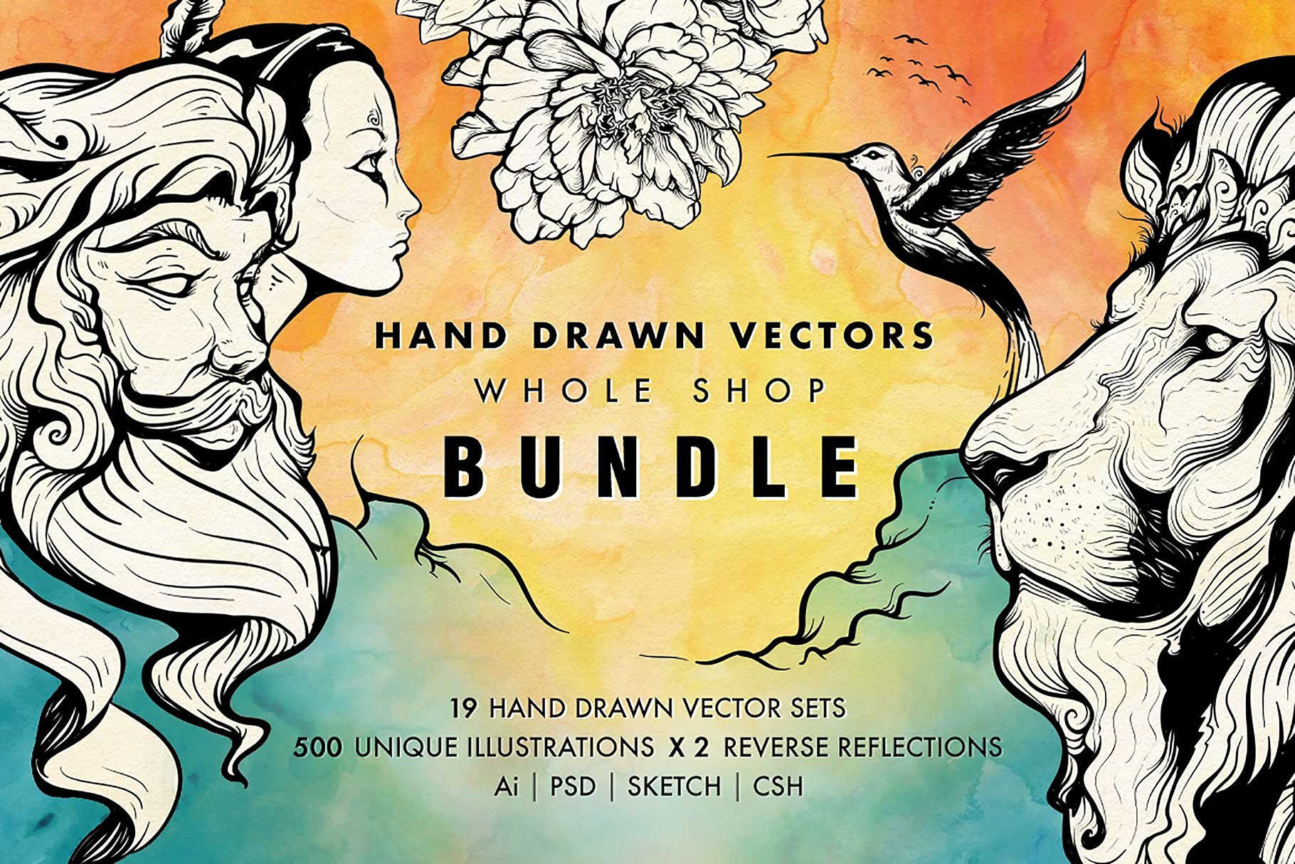 Hand Drawn Vectors Bundle