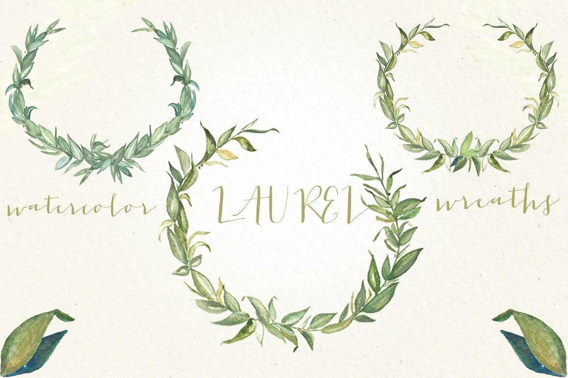 Laurel foliage wreaths illustr