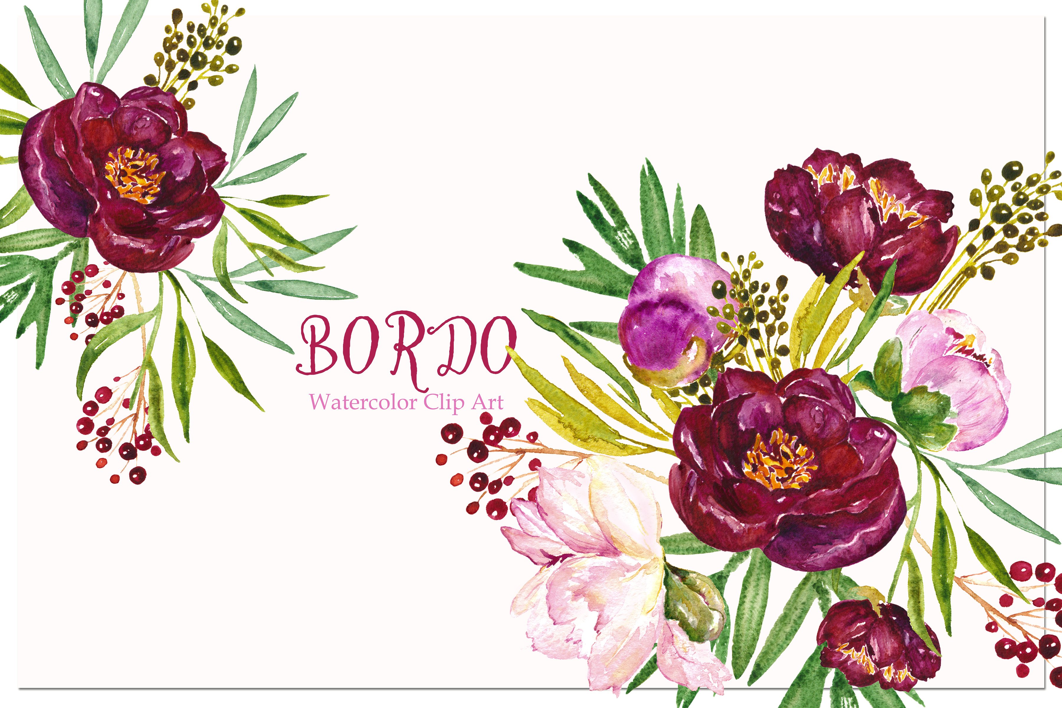 Peony Bordo. Watercolor Clipar