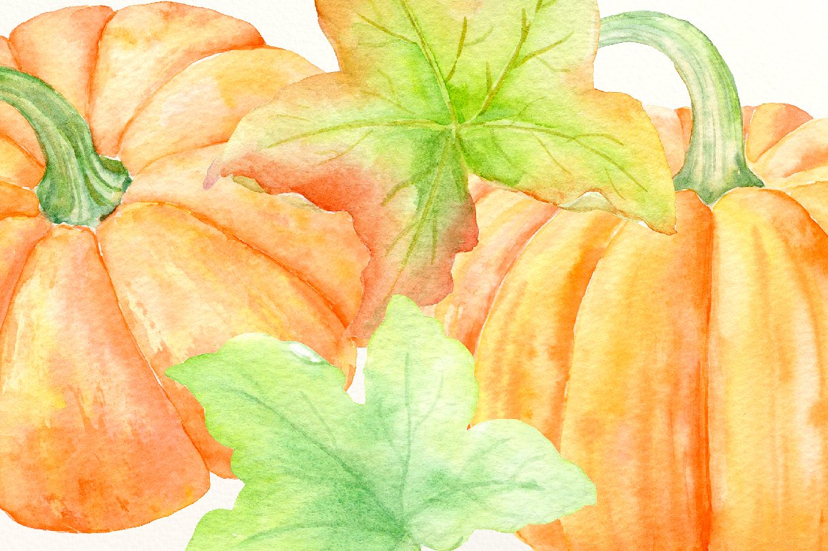 Watercolour Clipart Pumpkins