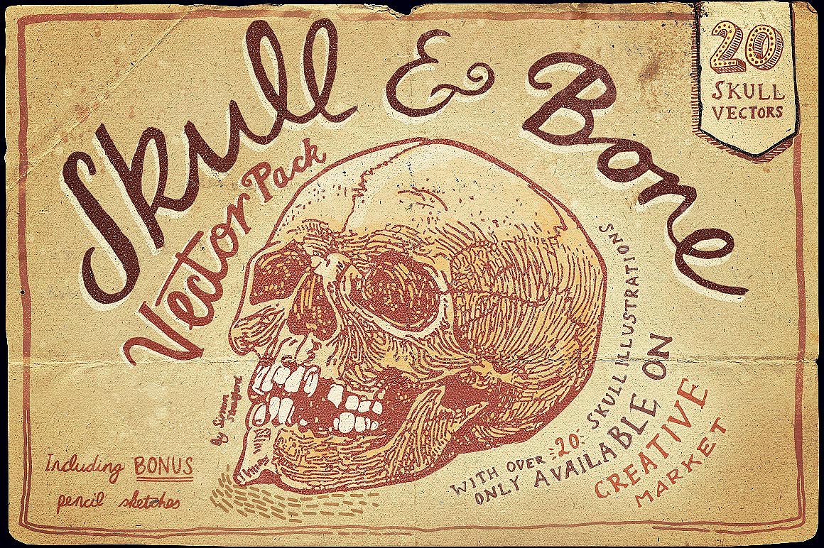 Vintage Skull and Bone Vector