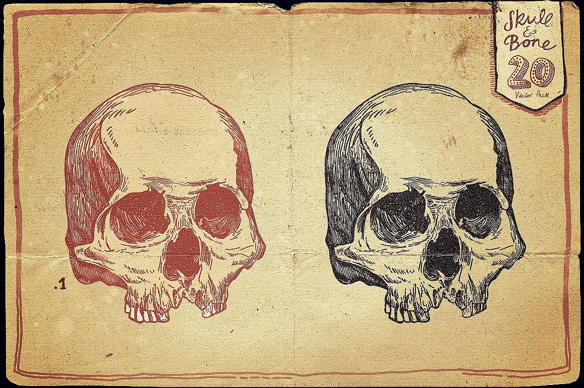 Vintage Skull and Bone Vector