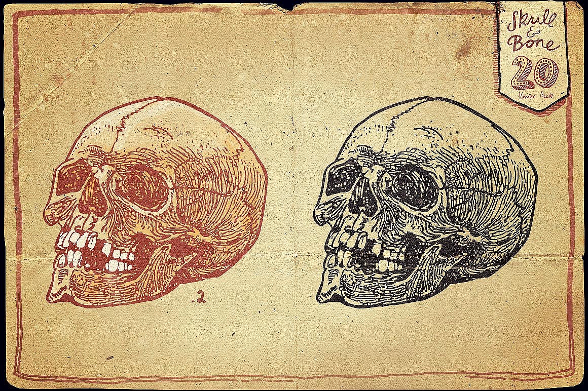 Vintage Skull and Bone Vector