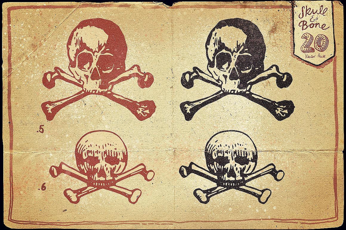 Vintage Skull and Bone Vector