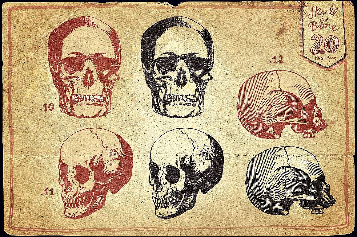 Vintage Skull and Bone Vector