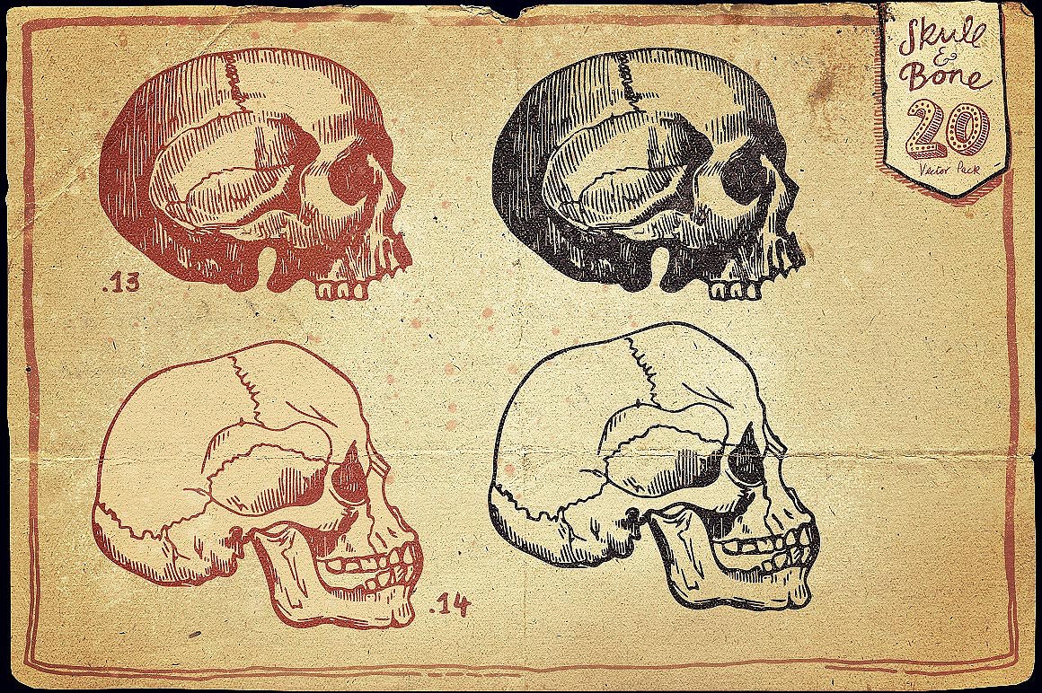 Vintage Skull and Bone Vector