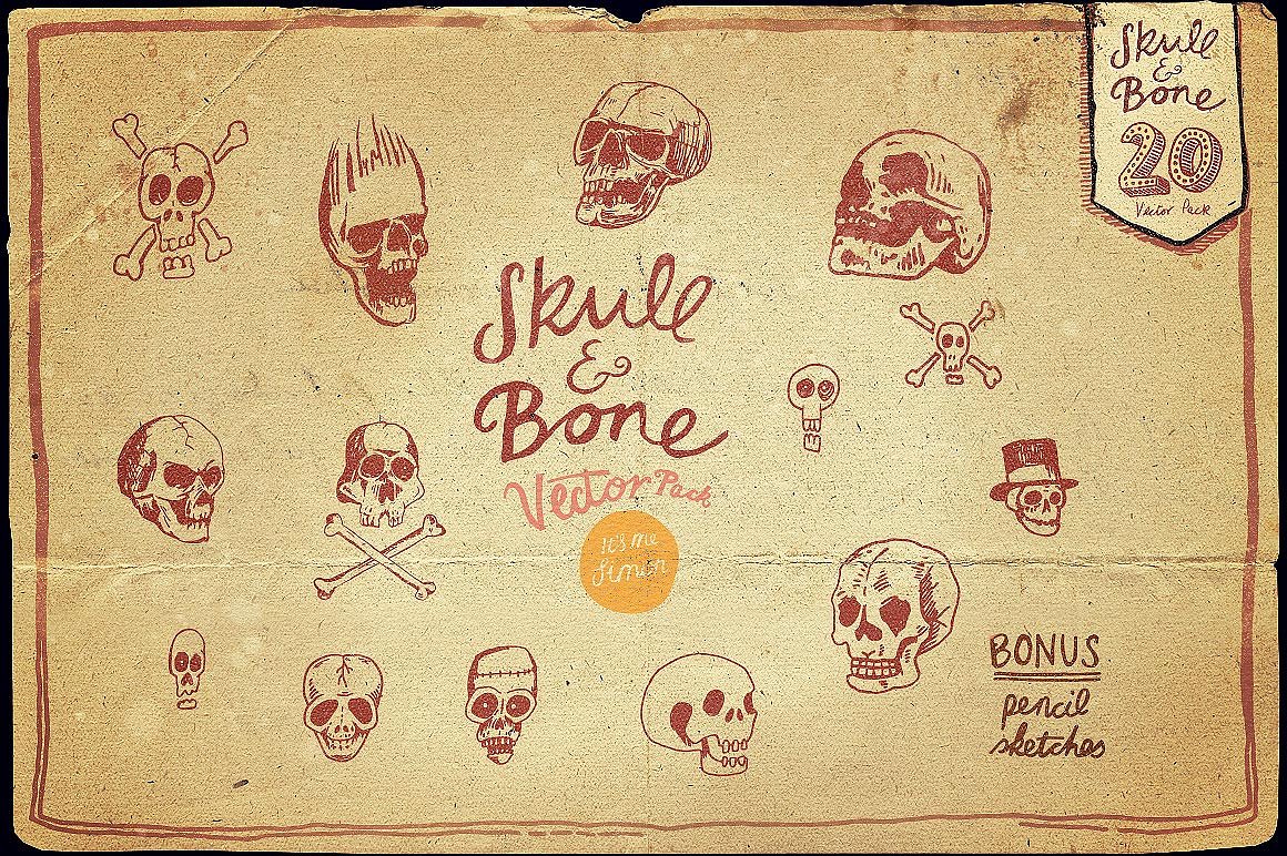 Vintage Skull and Bone Vector