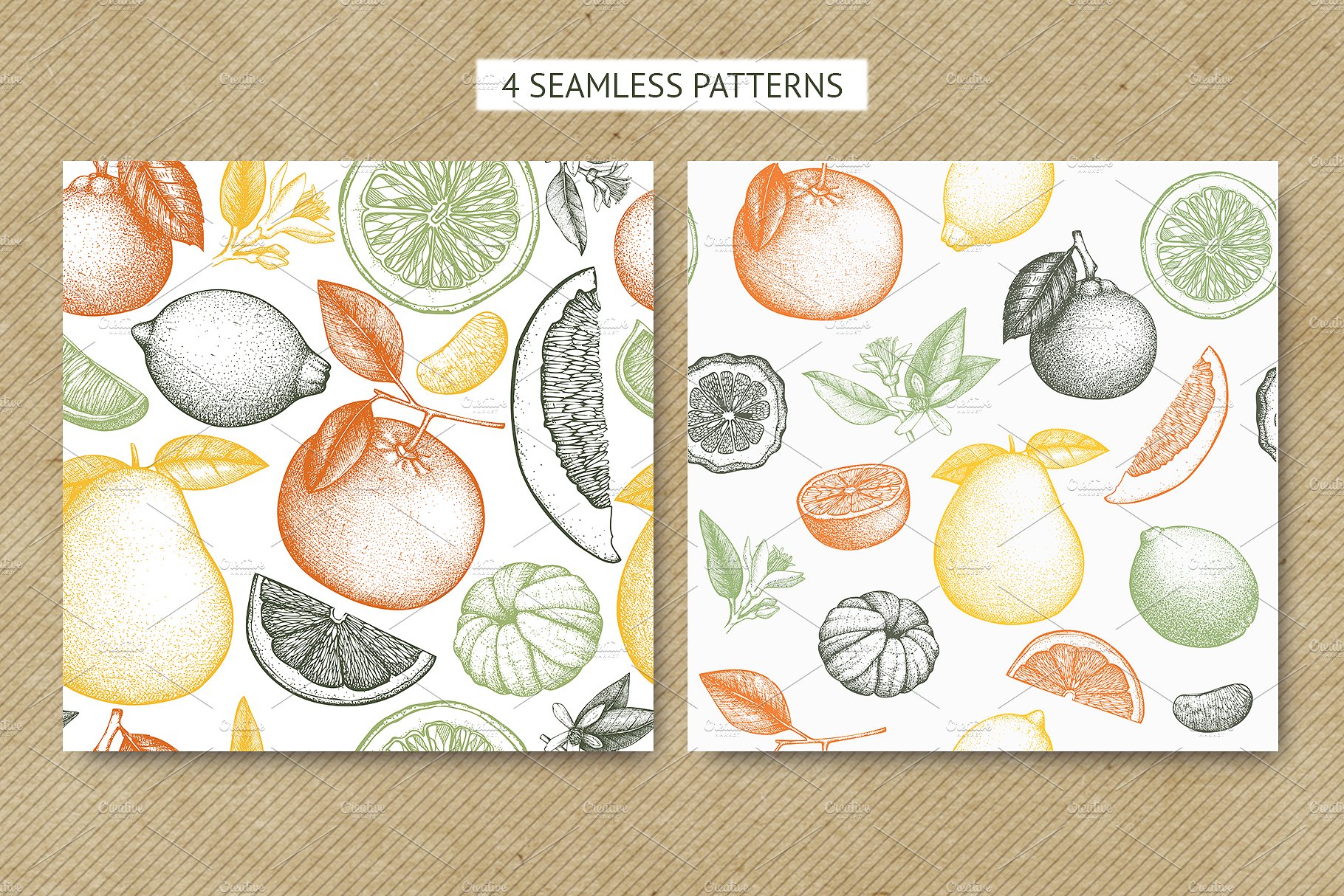 Vector Citrus Fruits Illustrat