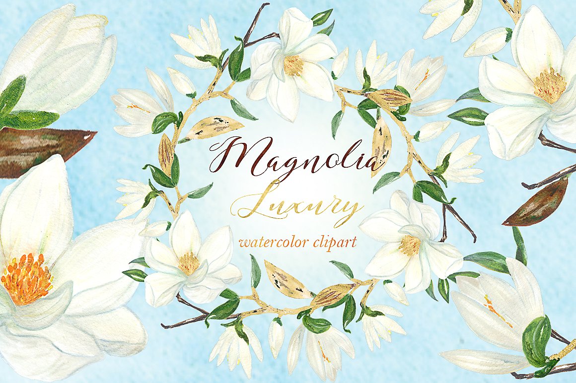 Magnolia white luxury clipart