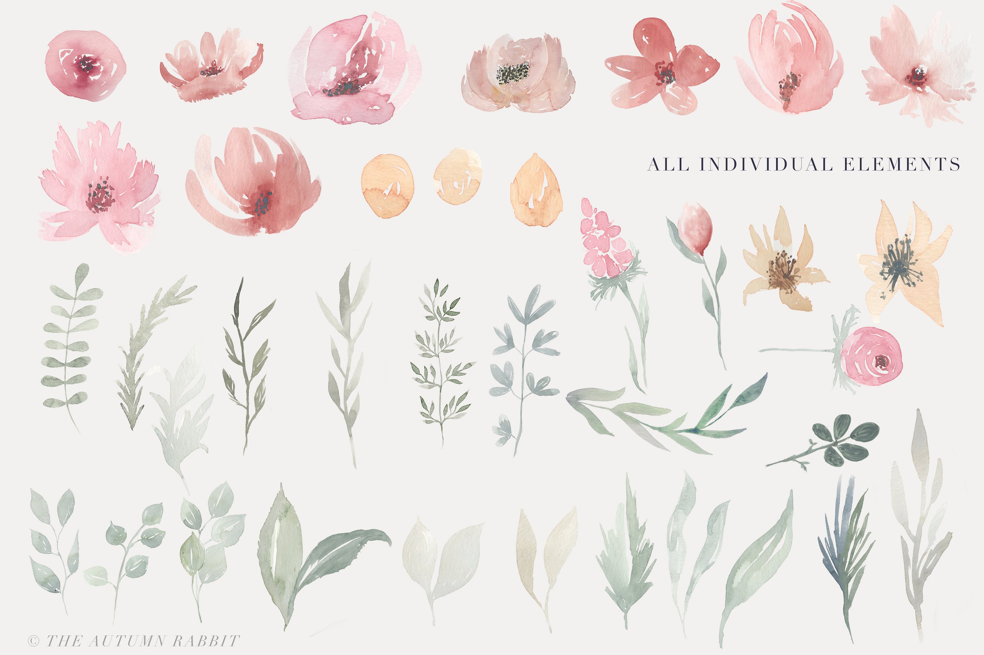 Watercolor Clipart Bundle