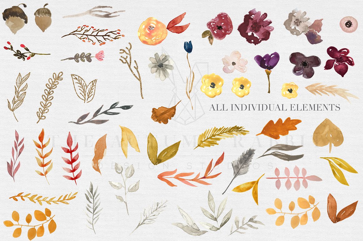 Fall Watercolor Clipart