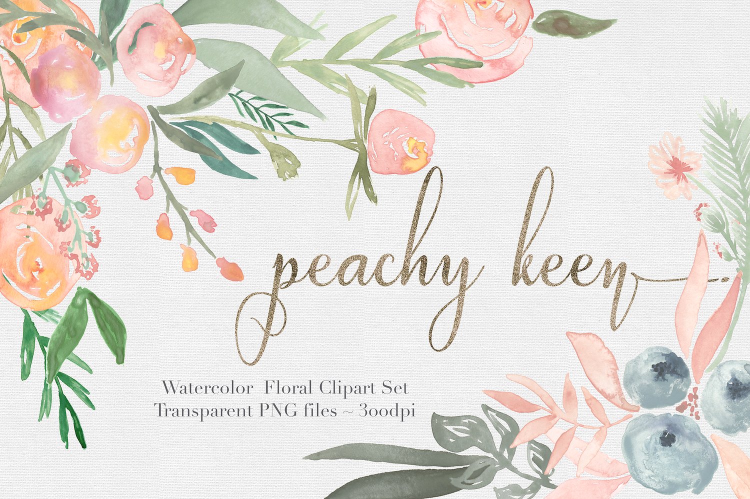 Peachy Keen Watercolor clipart