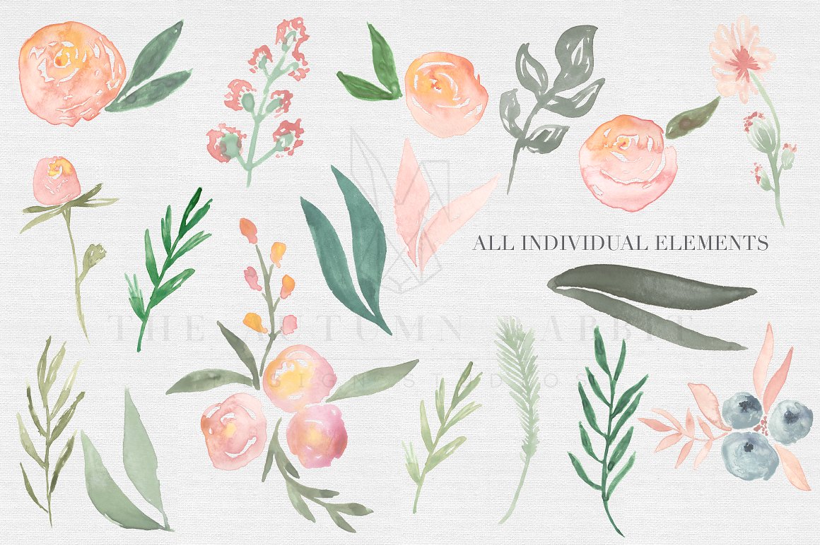 Peachy Keen Watercolor clipart