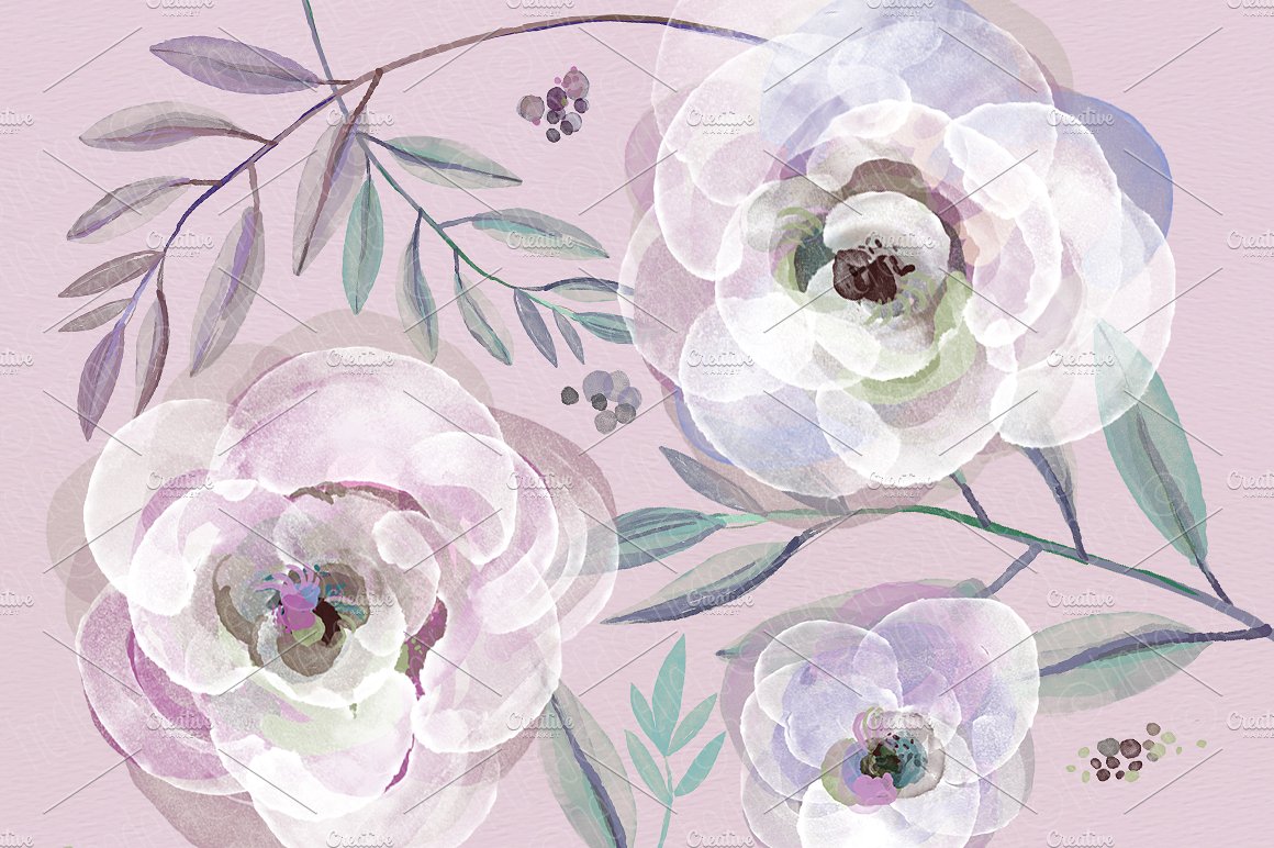 Watercolor purple roses and le