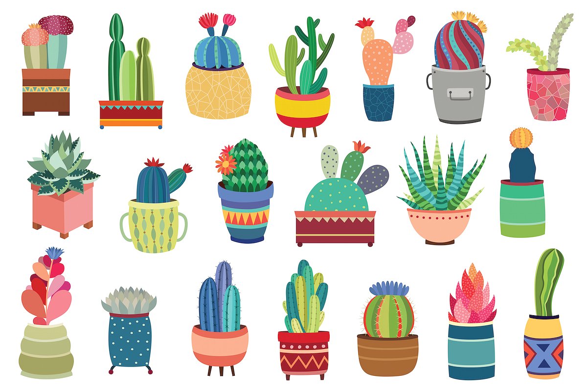 20 Succulents -amp; Cactus Vec