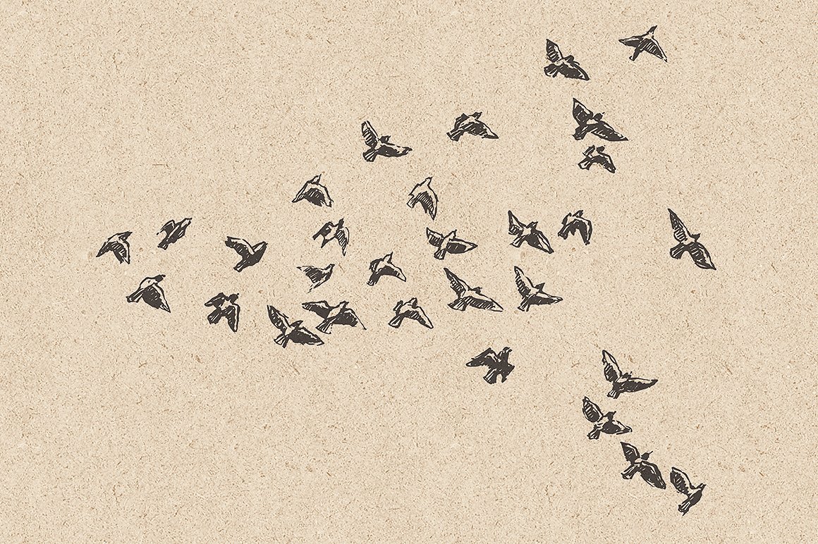 一套手绘鸟群图案元素合集包 Flocks of birds,