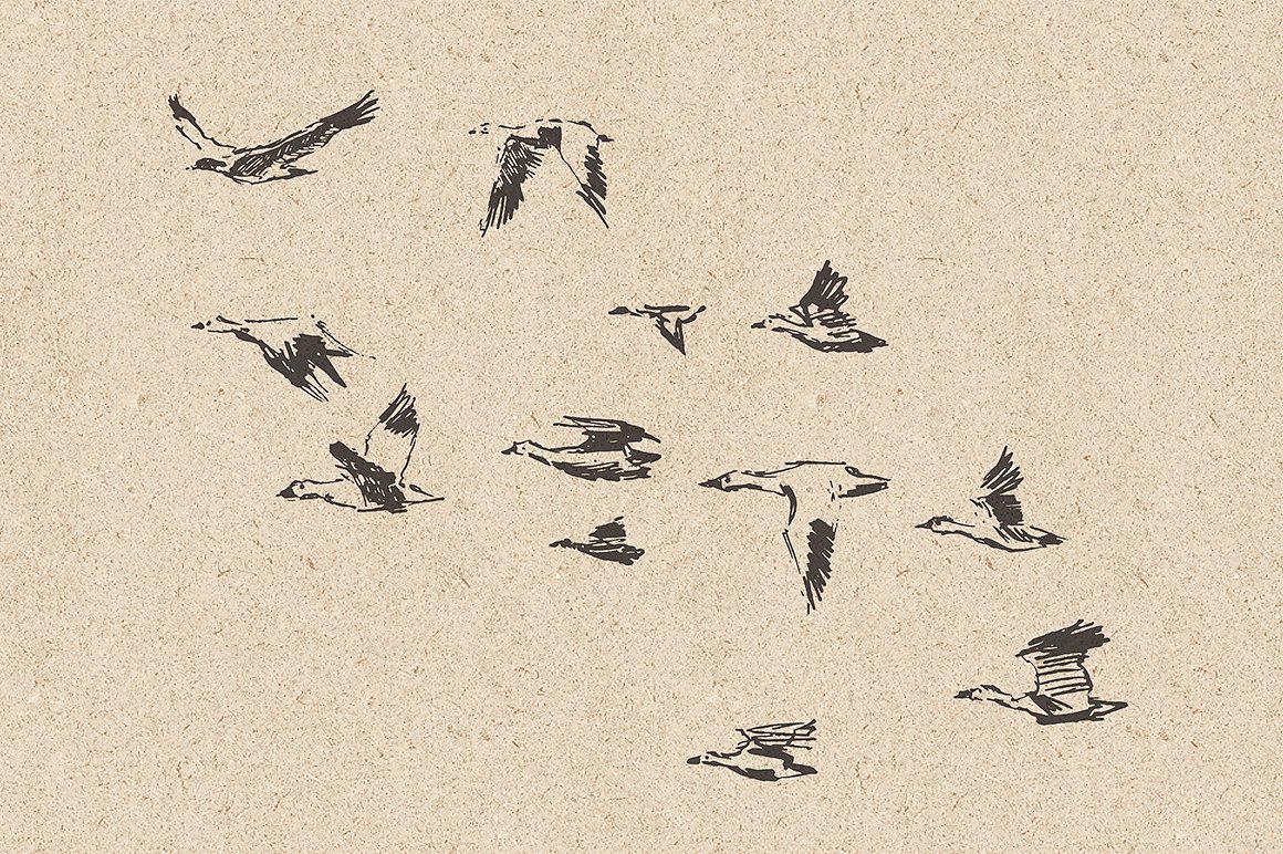 一套手绘鸟群图案元素合集包 Flocks of birds,