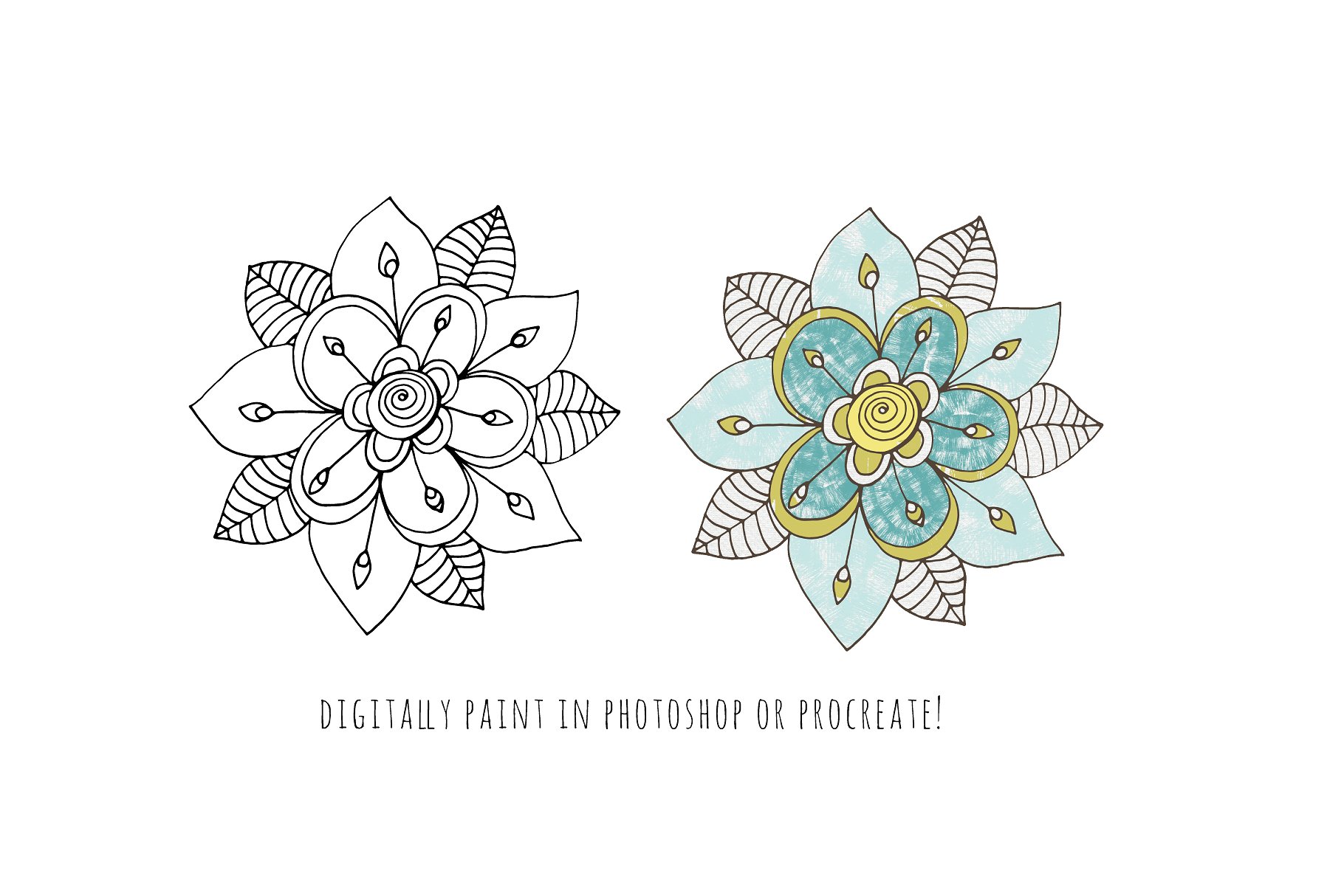 Flower Line Art -amp; Floral W