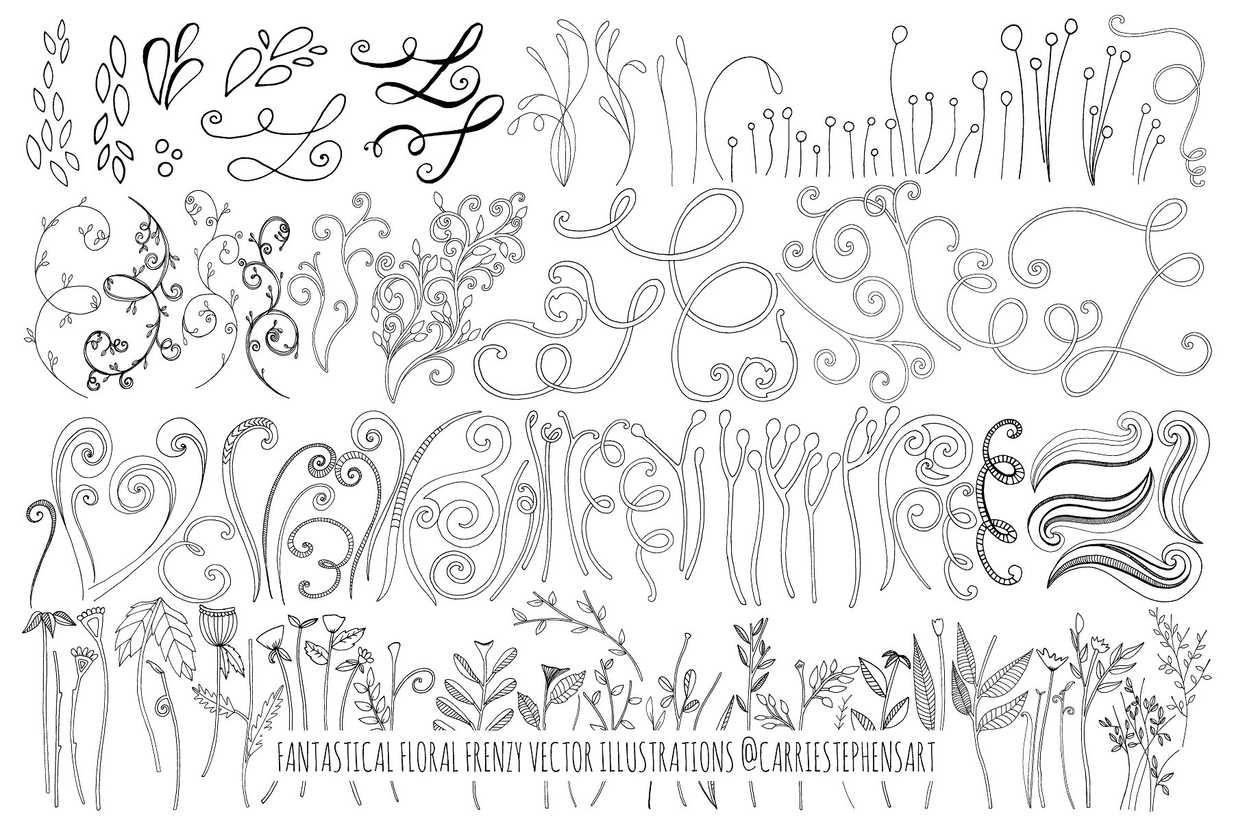 Flower Line Art -amp; Floral W