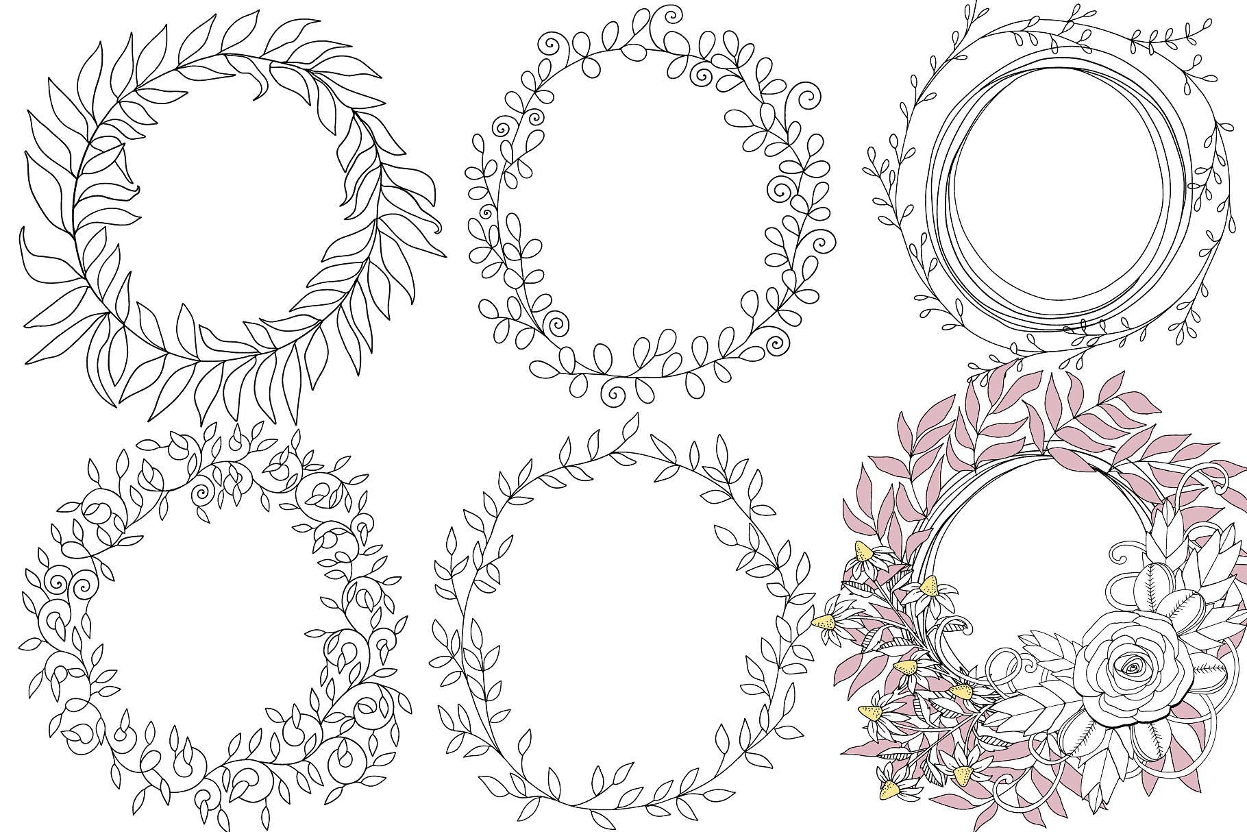 Flower Line Art -amp; Floral W