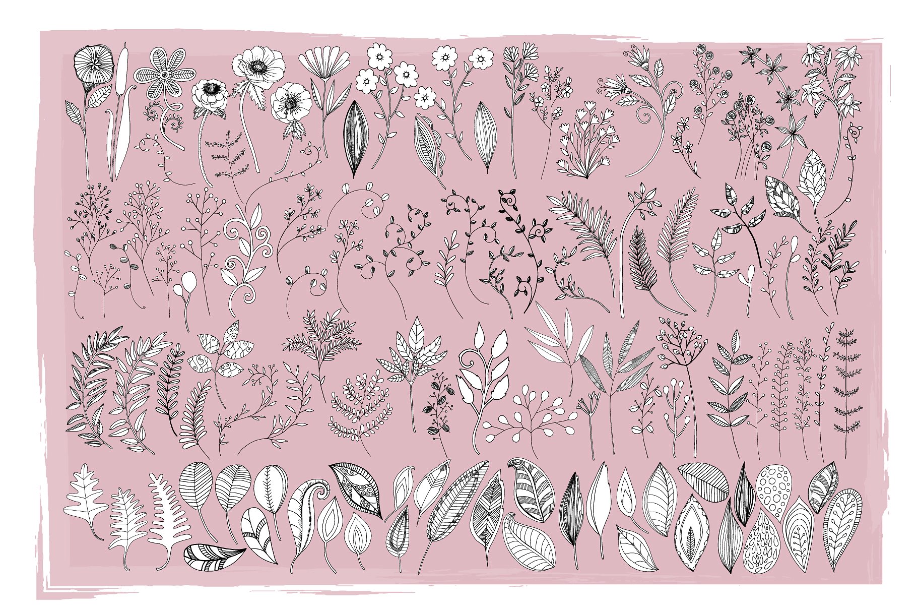 Flower Line Art -amp; Floral W