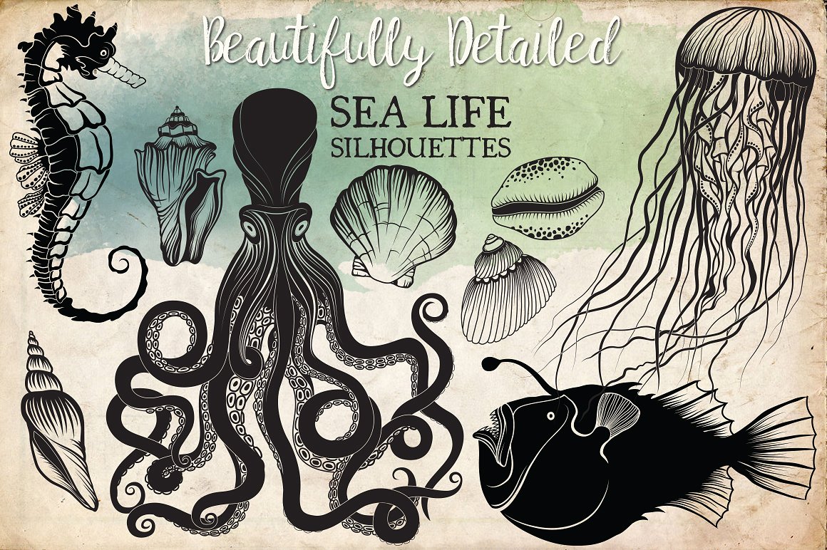 Hand Drawn Ocean Life Clipart