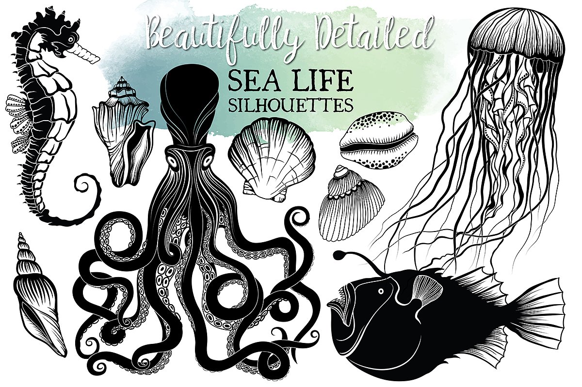 Hand Drawn Ocean Life Clipart