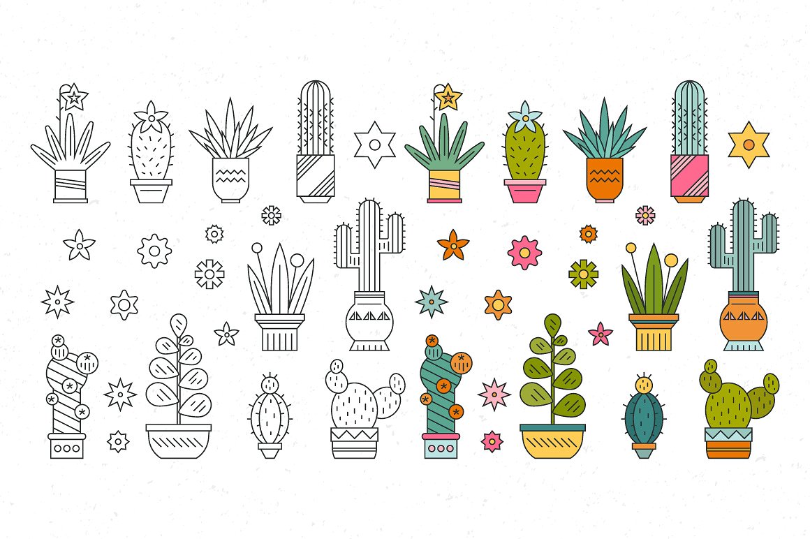 Succulent Clipart -amp; Patter