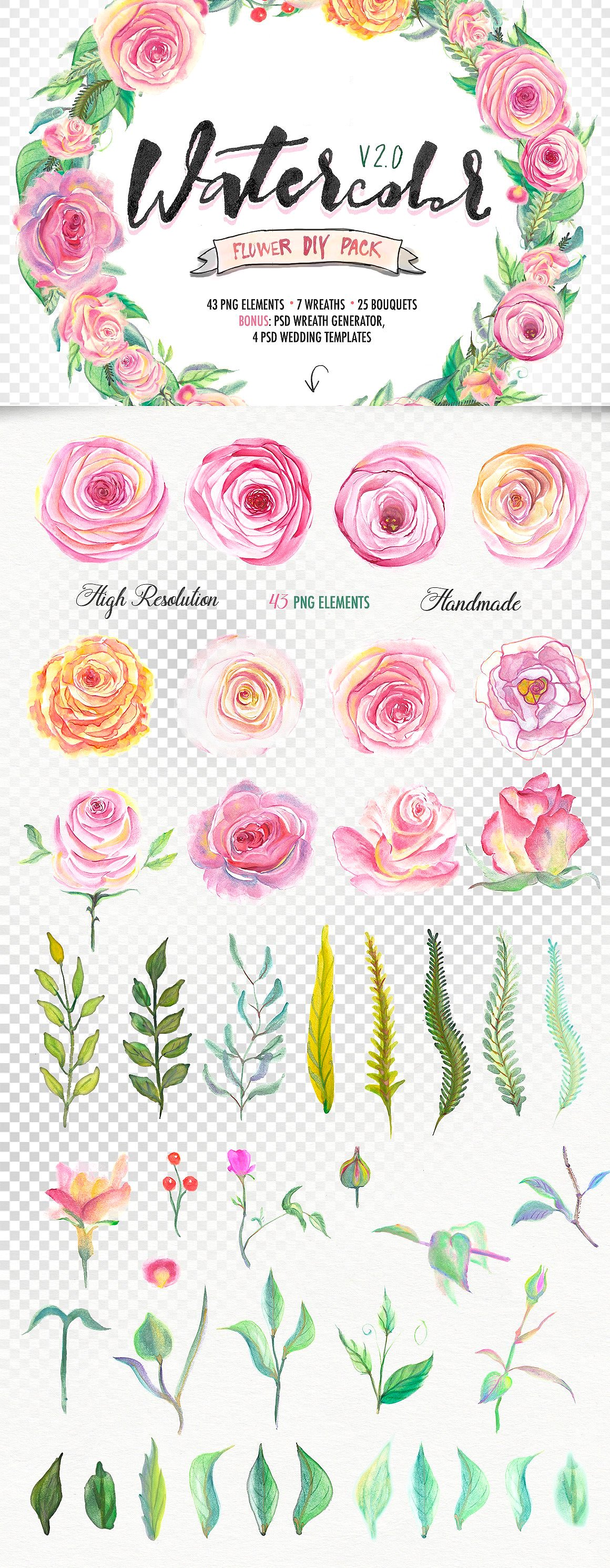 Watercolor flower DIY Pack2