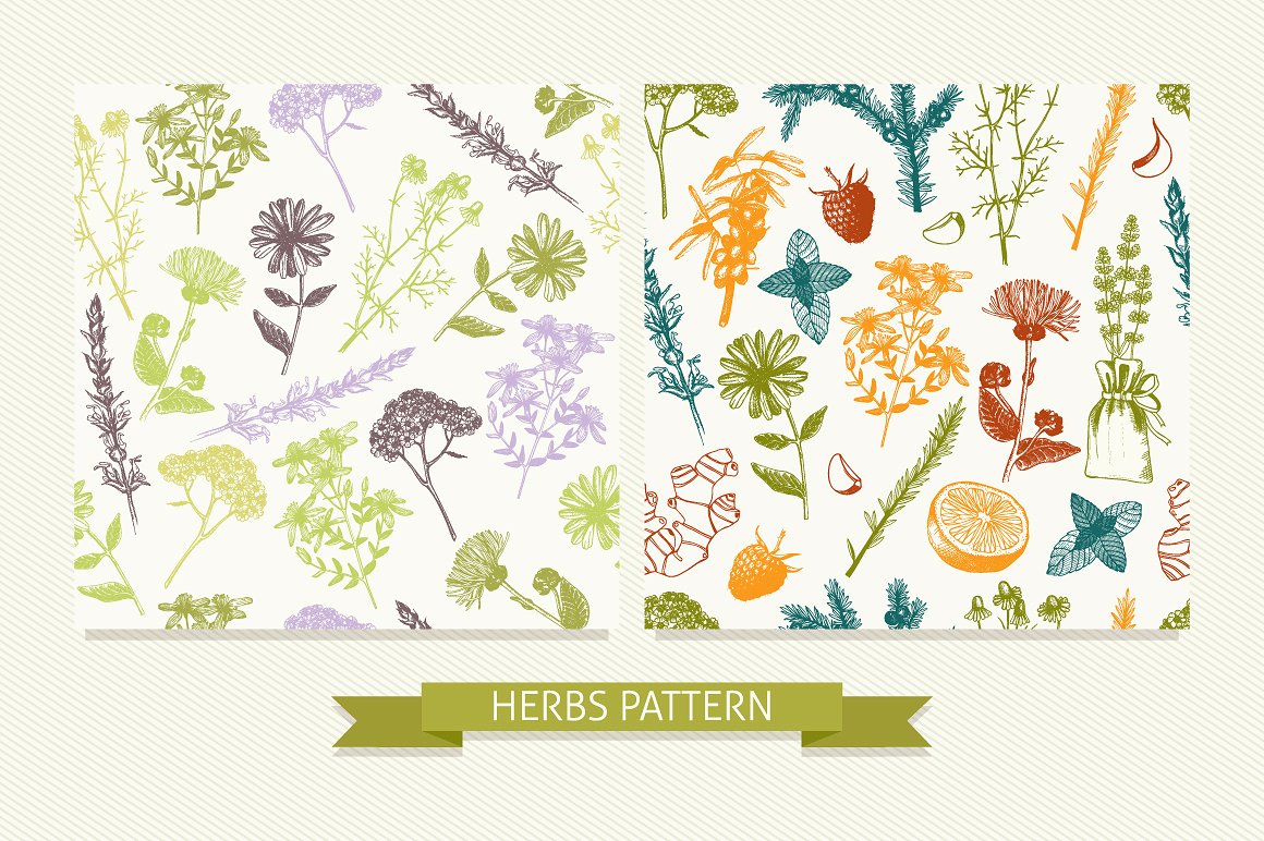 Vector Medicinal Herbs Set