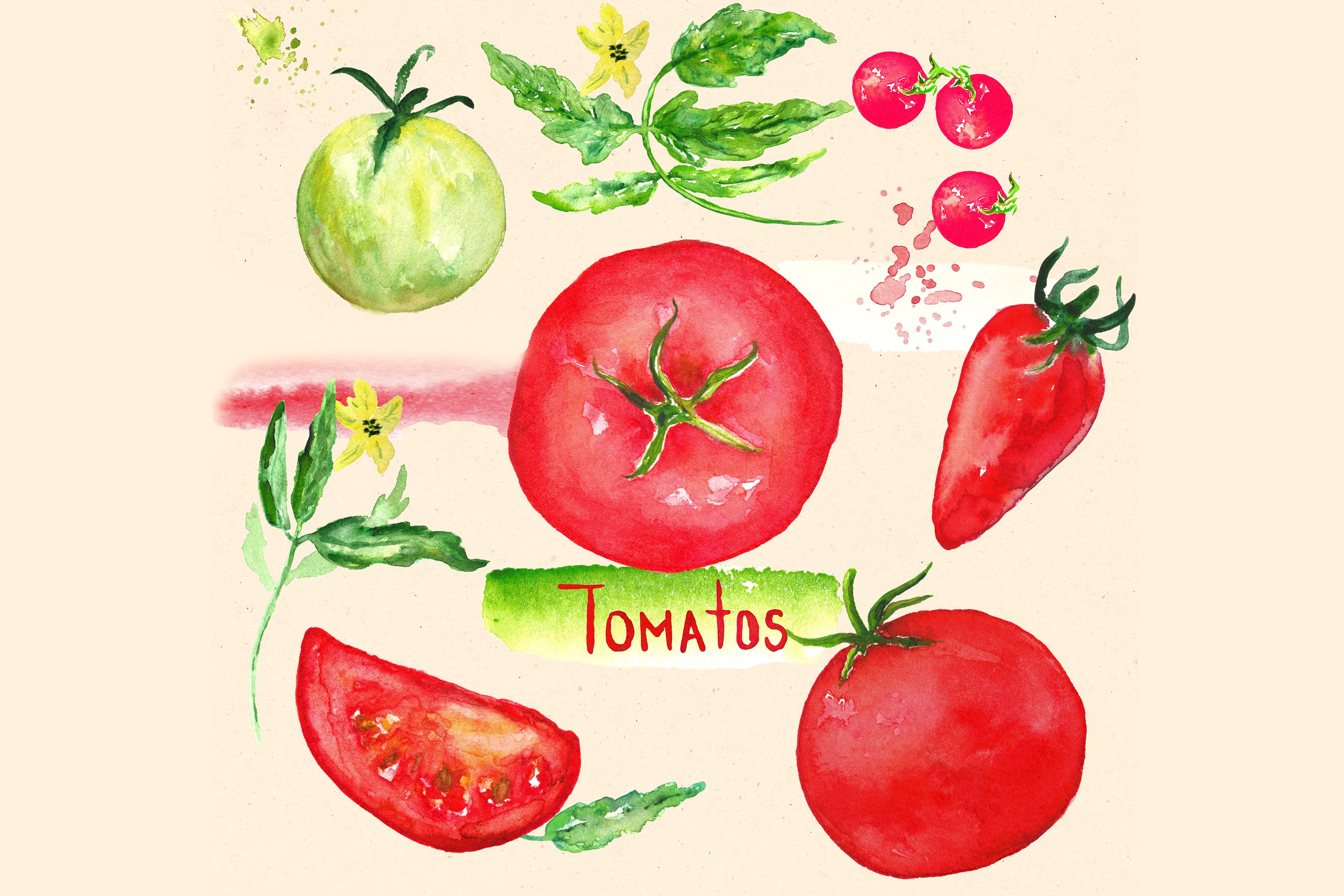 Tomats. Watercolor Clipart.