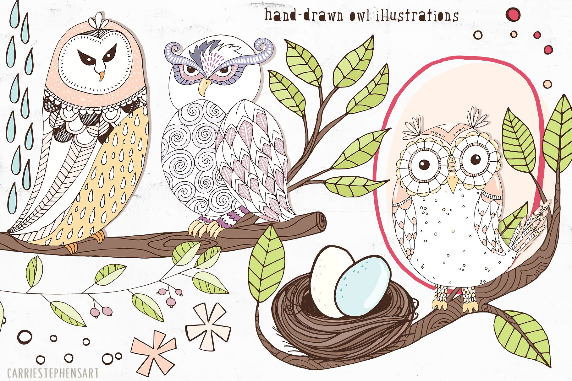 Cute Owl Graphics Set