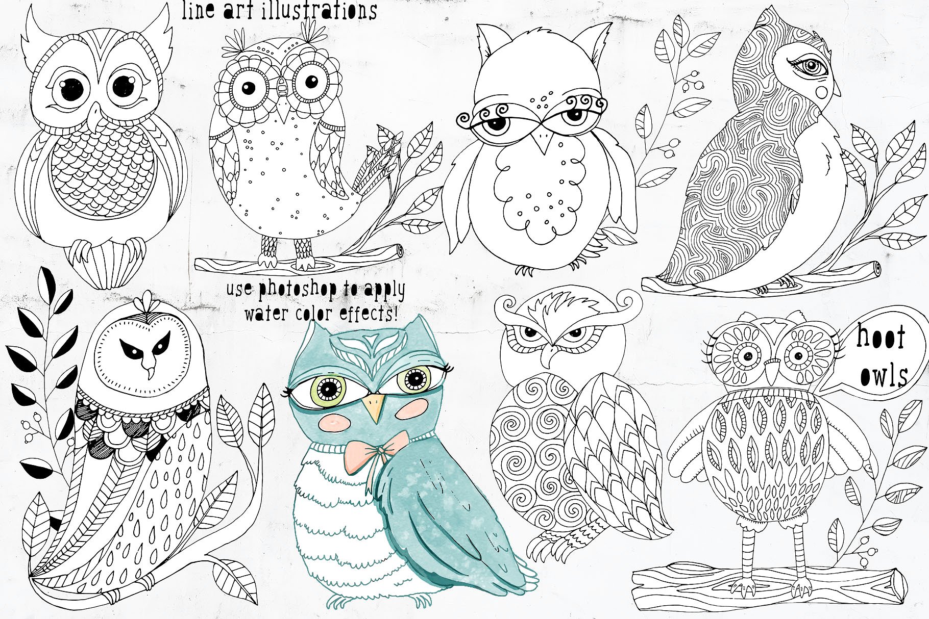 Cute Owl Graphics Set