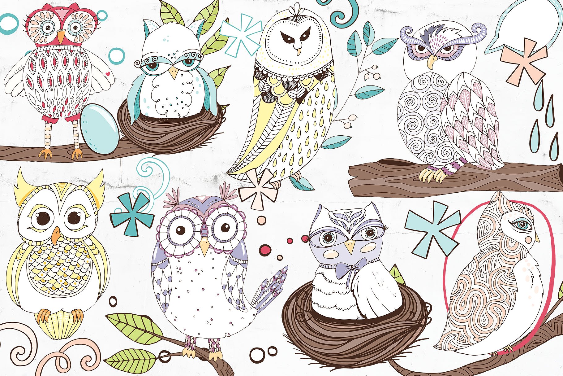 Cute Owl Graphics Set